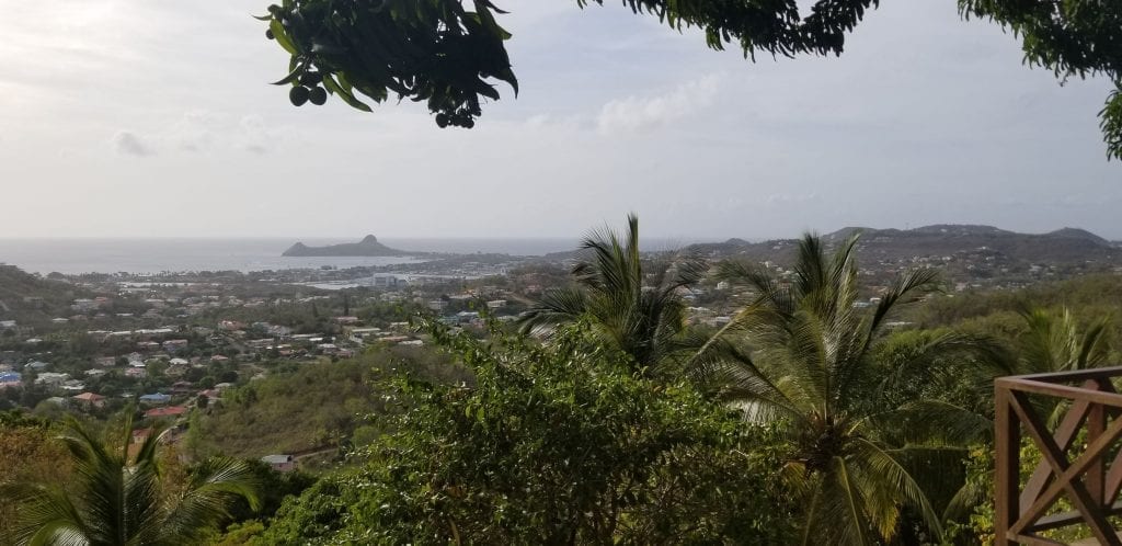 A view from the wedding of the skyline